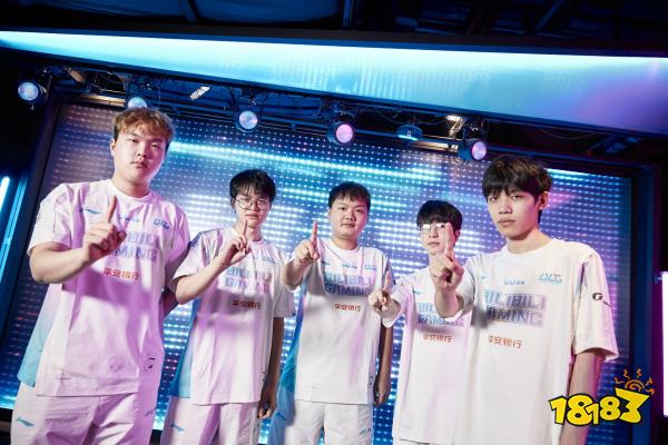 阿根廷式的 阿根廷式的